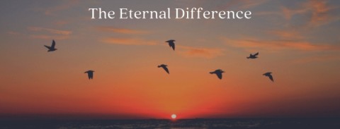 Why Choose Cremation - Benefits and Options of Cremation