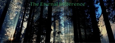 Why and When are Death Certificates Necessary?